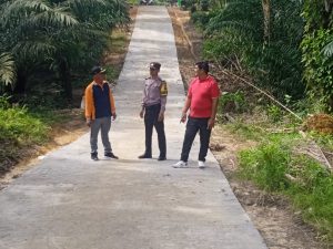 Panuturi simatupang camat kecamatan sirandorung cek fisik proyek jalan usaha tani Di Desa Mas Nauli