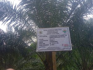 Proyek usaha tani Desa Tumba Jae dengan anggaran Rp. 316.519.000; tahun 2024 sangat dia Apresiasi Masyarakat.