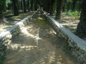 Proyek pembangunan Jalan usaha tani Desa Binjo Hara Baru Dusun 3 anggaran Rp. 194 . 928.000; tahun 2024 akhirnya terealisasi