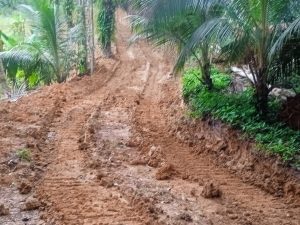 Proyek Pembukaan Jalan Usaha Tani   Dusun IV Desa simpang Tiga Lae Bingke  Dengan Anggaran Rp. 190.322.000.00; tahun 2024 sudah terlaksana Dengan baik