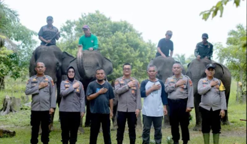 Kapolres Bengkalis Tinjau Lokasi Pelatihan Gajah di PLG Sebanga, Pastikan Keamanan dan Kesejahteraan Gajah